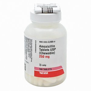 Rx Item-Amoxicillin 250mg Chewable 100 By Teva Pharma